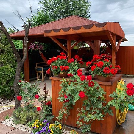 Airport16 Bed And Breakfast Vecses Exterior photo