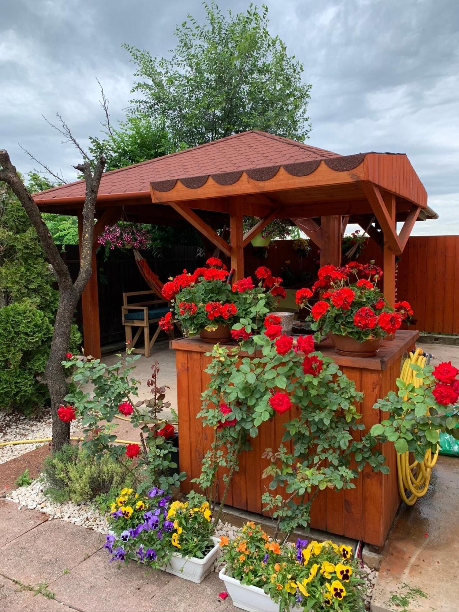 Airport16 Bed And Breakfast Vecses Exterior photo